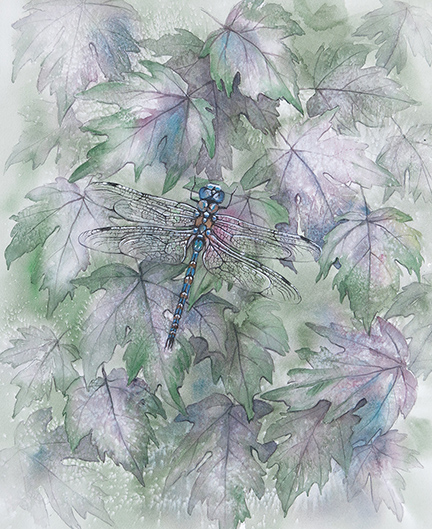 Dragonfly