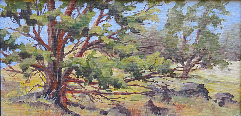 Riley Ranch in spring